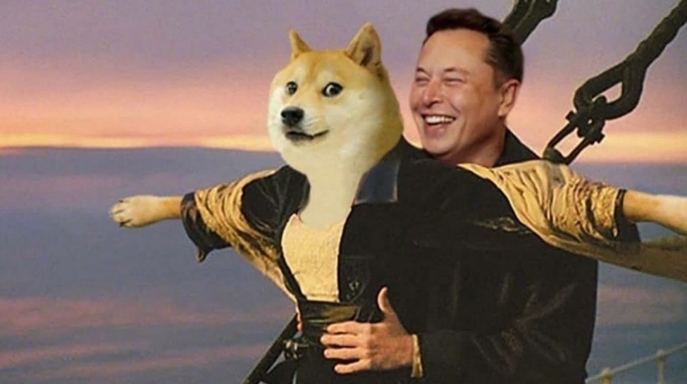 Dogecoin Kurucusundan Elon Musk Açıklaması Geldi!