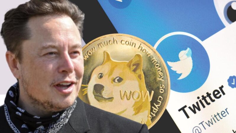 Elon Musk Twitter Üzerinde Kripto Paraları Nasıl Kullanacak?